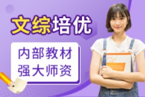 高中文综培优
